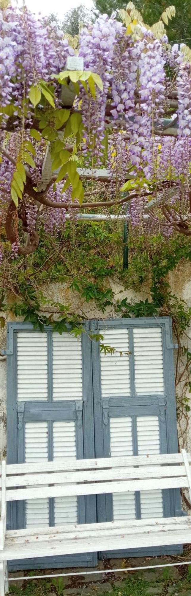Message In A Bottle Bed And Breakfast Camporosso (Liguria) Exterior foto