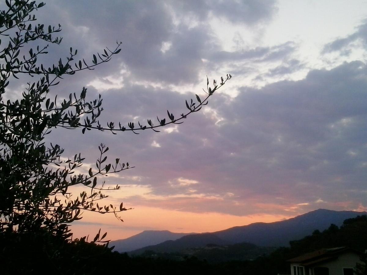 Message In A Bottle Bed And Breakfast Camporosso (Liguria) Exterior foto