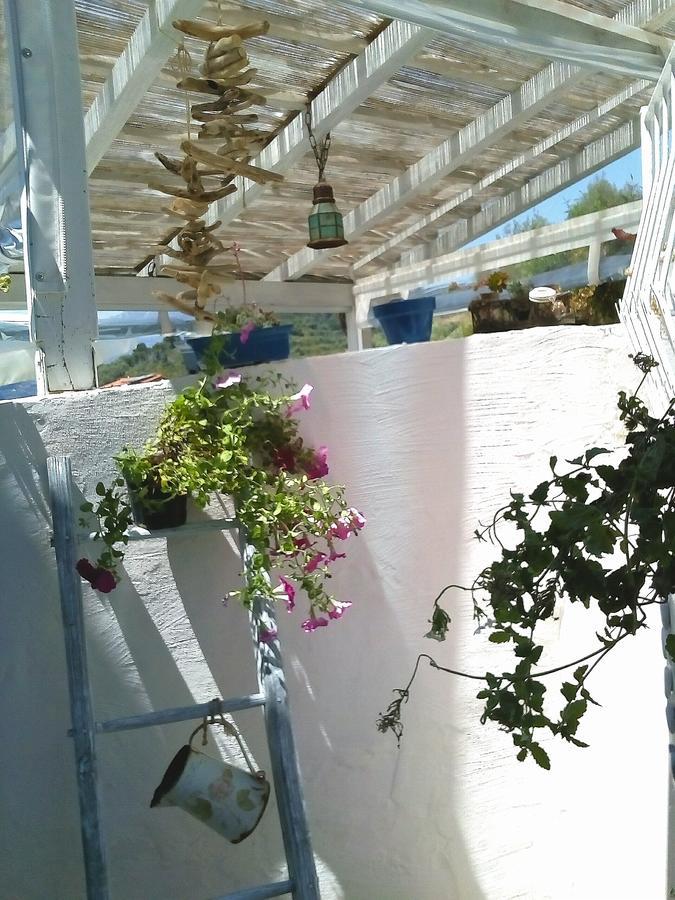 Message In A Bottle Bed And Breakfast Camporosso (Liguria) Exterior foto