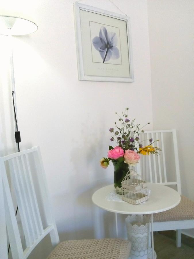 Message In A Bottle Bed And Breakfast Camporosso (Liguria) Exterior foto